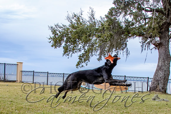 timmons_IMG_117