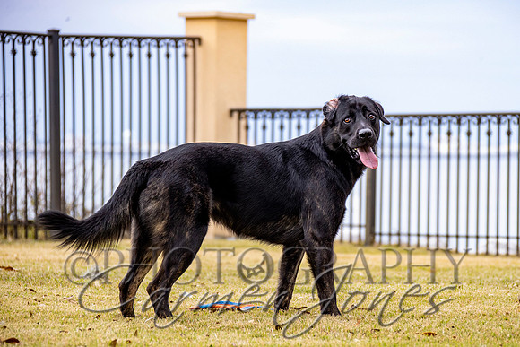 timmons_IMG_107