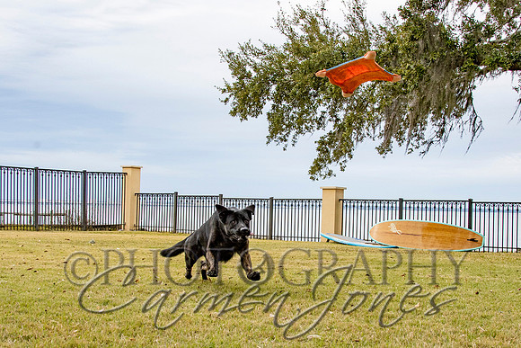 timmons_IMG_100