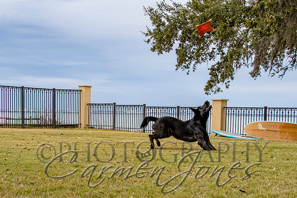 timmons_IMG_128