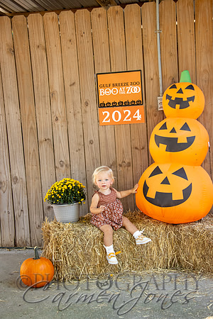 violetzoo_IMG_0128