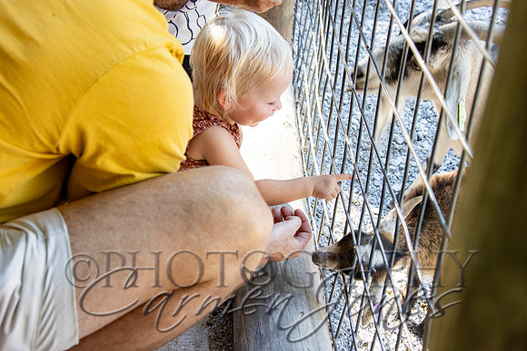 violetzoo_IMG_0117