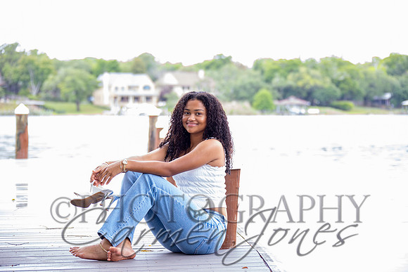 L_Sims25_1199