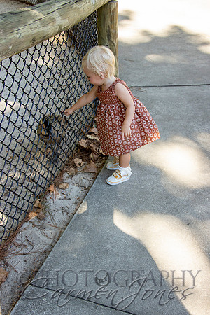 violetzoo_IMG_0014