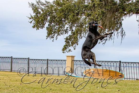 timmons_IMG_130