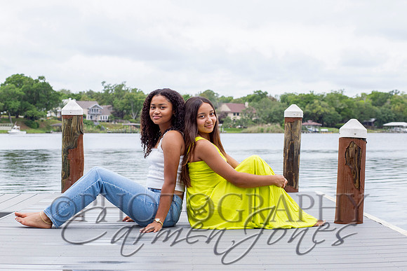 L_Sims25_1451