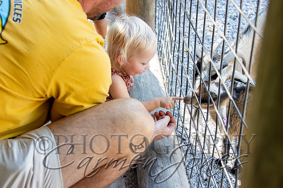 violetzoo_IMG_0116