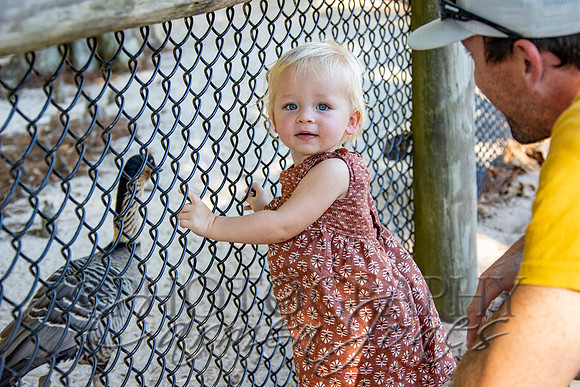 violetzoo_IMG_0005