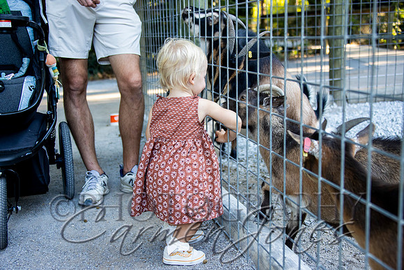 violetzoo_IMG_0304