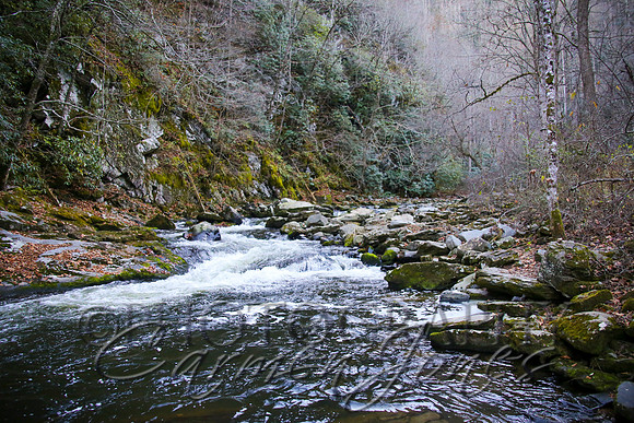 nantahala1124_IMG_1009