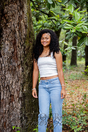 L_Sims25_1056