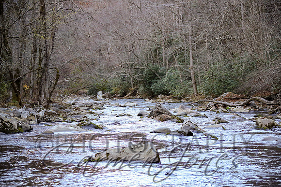 nantahala1124_IMG_1071