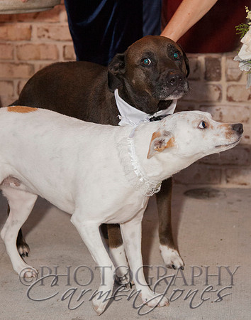 claudia&paul_2569