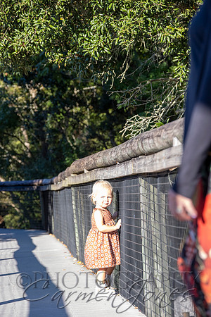violetzoo_IMG_0261