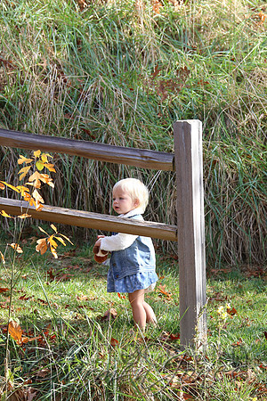nantahala1124_IMG_1104