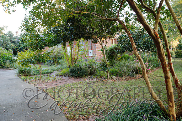 averyst__mg_0008