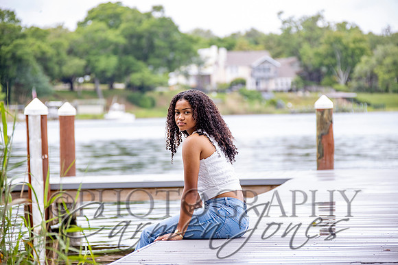 L_Sims25_1210