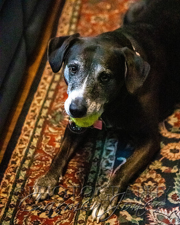 jim&missy__0131