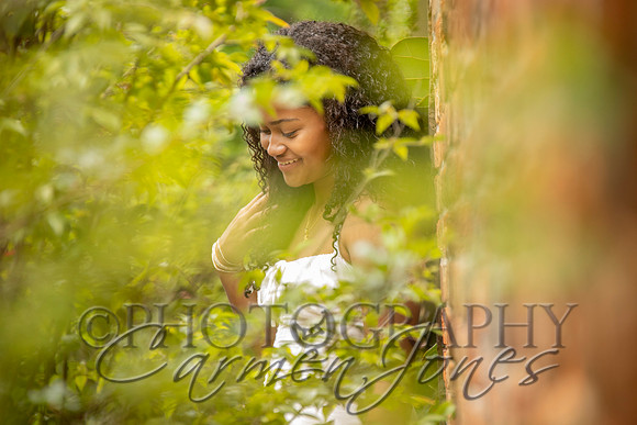 L_Sims25_1401