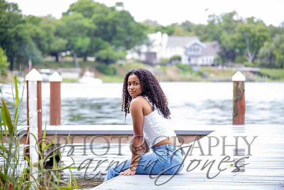 L_Sims25_1204