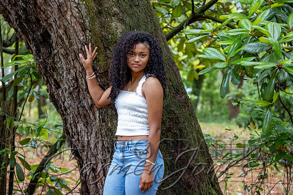 L_Sims25_1054