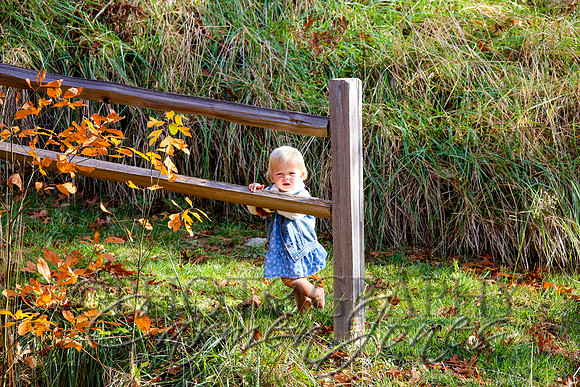 nantahala1124_IMG_1109