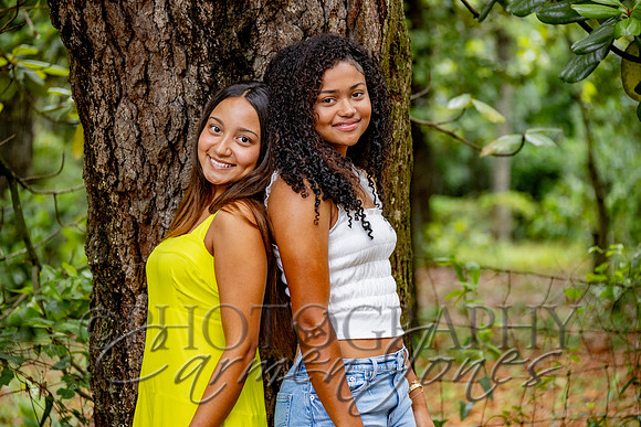 L_Sims25_1074