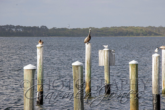 russell25_0794