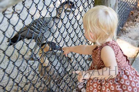violetzoo_IMG_0008