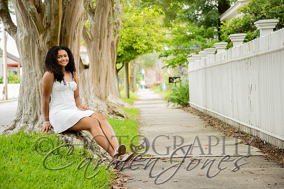 L_Sims25_1335