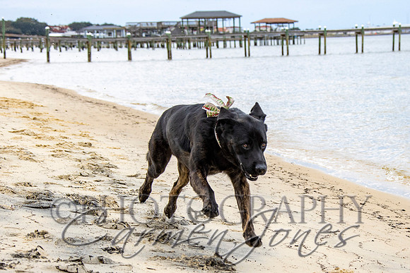 timmons_IMG_076