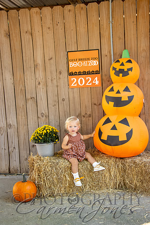 violetzoo_IMG_0129