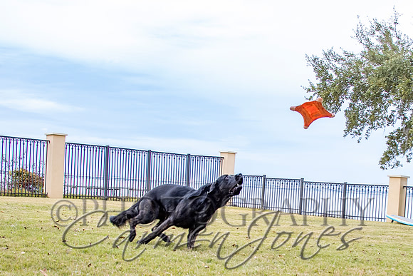 timmons_IMG_116