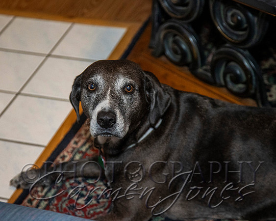 jim&missy__0178