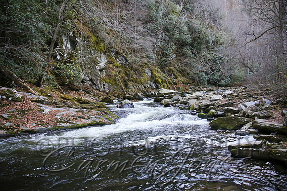 nantahala1124_IMG_1008