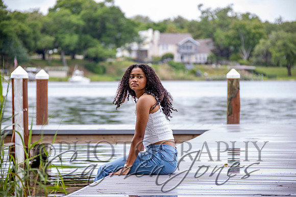 L_Sims25_1208