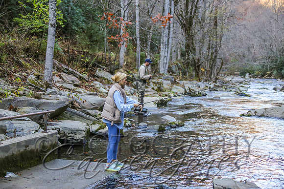 nantahala1124_IMG_1013