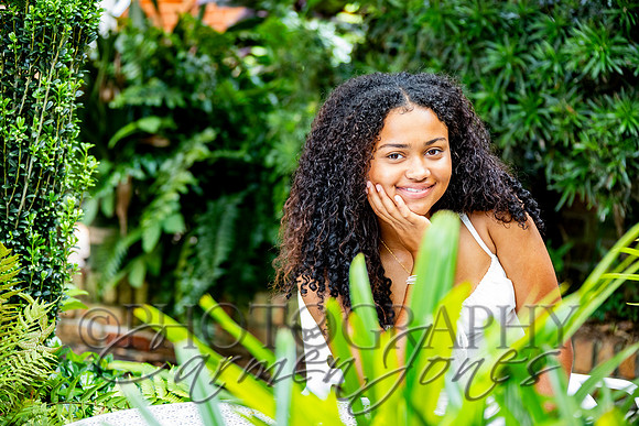 L_Sims25_1411