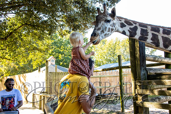 violetzoo_IMG_0140