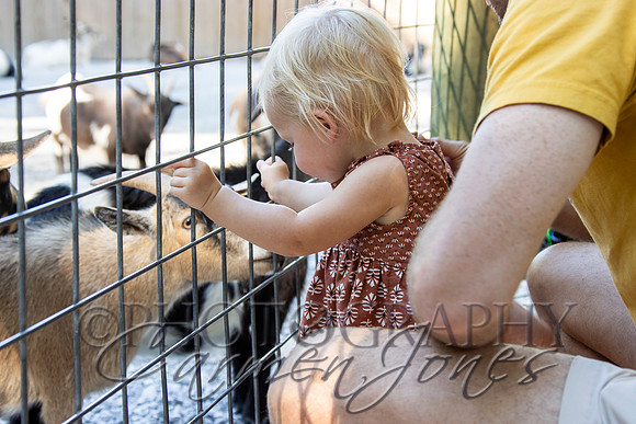 violetzoo_IMG_0094