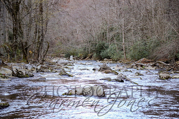 nantahala1124_IMG_1070