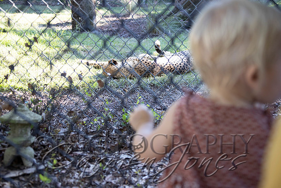 violetzoo_IMG_0219