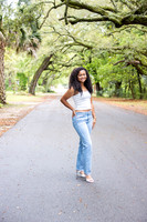 L_Sims25_1020